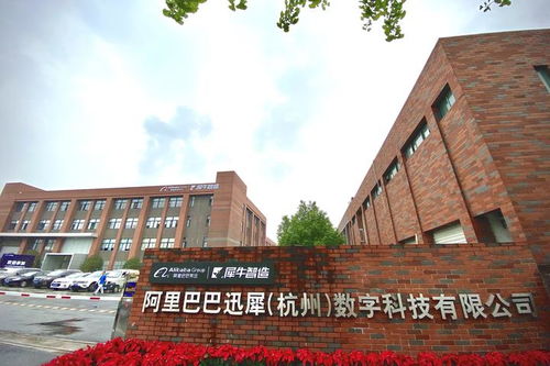 阿里 动物园 再添新丁 诞生余杭的 犀牛 是何来头